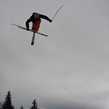Sw. 10 med mute. Photo: Ulf Sedlacek. Rider: Magnus Gran&eacute;r.
