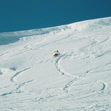 Photo: Oskar Br&ouml;ske. Rider: Alina Bergmark.