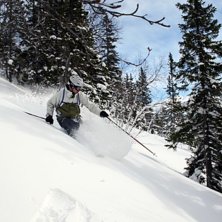 Photo: Erik Olofsson. Rider: Martin Andr&eacute;asson.