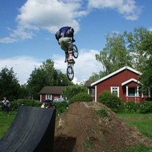 Photo: fidde. Rider: Axel Wahl&eacute;n.