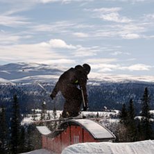 Photo: Cecilia V&auml;h&auml;nikkil&auml;. Rider: M&aring;rten Bergkvist.