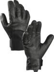 Arcteryx Agilis Glove 2016